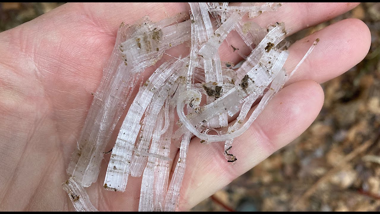 Needle Ice