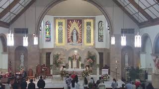 Pentecot Sunday - 05-24-26 - 11:30AM