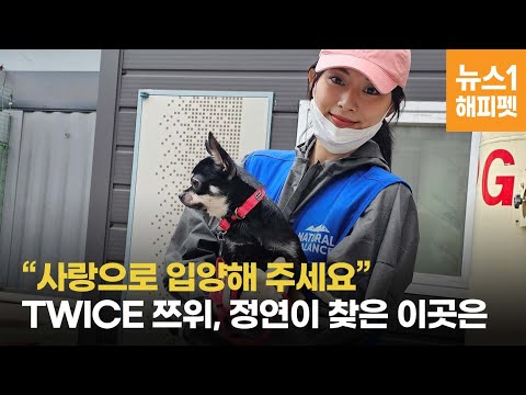 "트와이스 쯔위·배우 정연 자매가 찾은 유기견 보호소 🐶 귀여운 강아지들과의 하루!" | TWICE, animal shelter