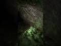 The Creepiest Cave In #soma