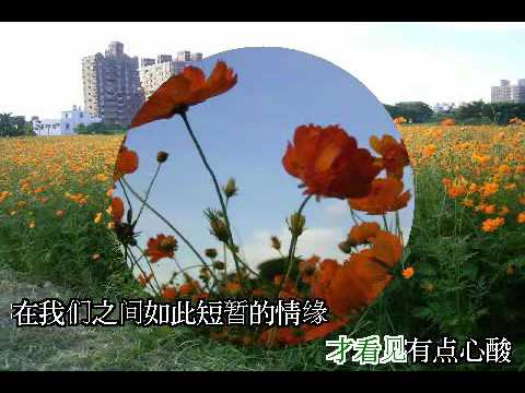 相見恨晚 - 彭佳慧 - Nati 翻