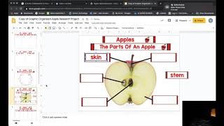 Digital Apple Research Project