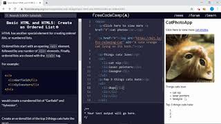 Basic HTML and HTML5 (16/28) | Create an Ordered List | freeCodeCamp Information