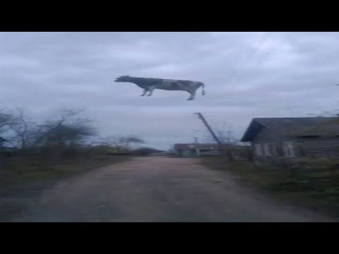 Top 5 Glitches in Real Life