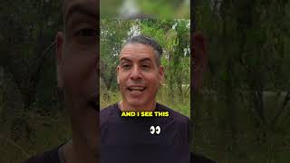 Overcoming Instant Gratification. Why you keep scratching those mosquito bites!!  | RayMaor.com