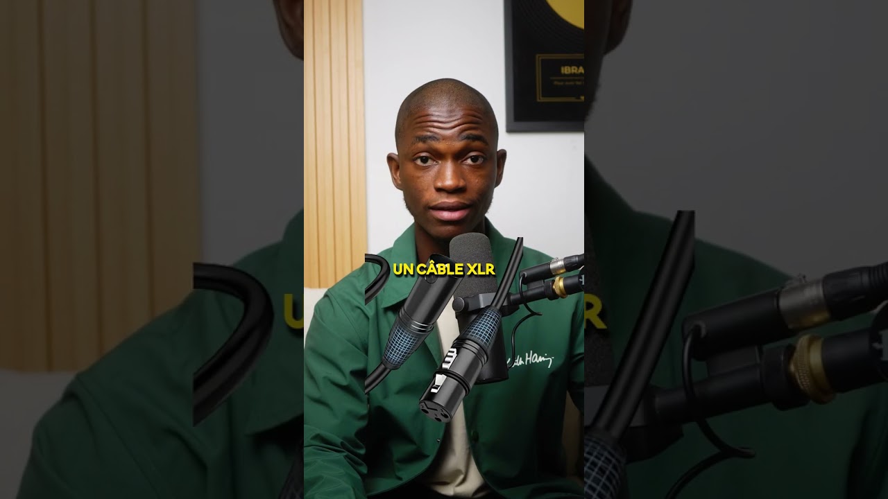 SHURE SM7B : Le microphone idéal pour créateurs en 2024