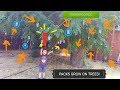 POKEMON CARDS GROW ON THIS TREE!! We Found A Hidden Wonder!! MOST Craziest Video You Will Ever See!!