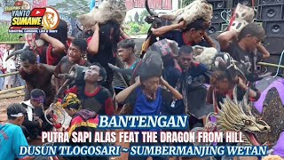 Bantengan PUTRA SAPI ALAS feat THE DRAGON FROM HILL 🔴 Dusun Tlogosari sumawe