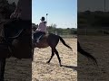 Le petit Vlog du 15/10