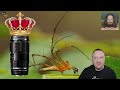 OM 90mm f3,5 macro - Макро в Тропических Лесах ! опыт съёмок Романа Прохорова...