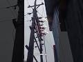 Transmission line #shortsvideo #viealvideo #transmission #youtubeshorts #trading