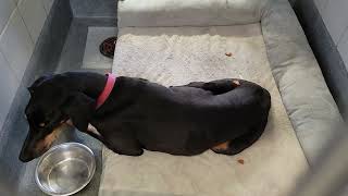 acs A527196