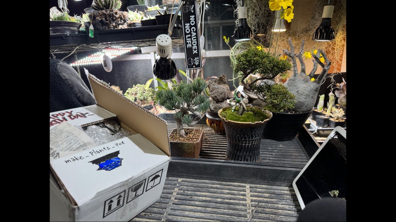 【夜の園芸】#5 視聴者様から色々届いたから開封していくー！！