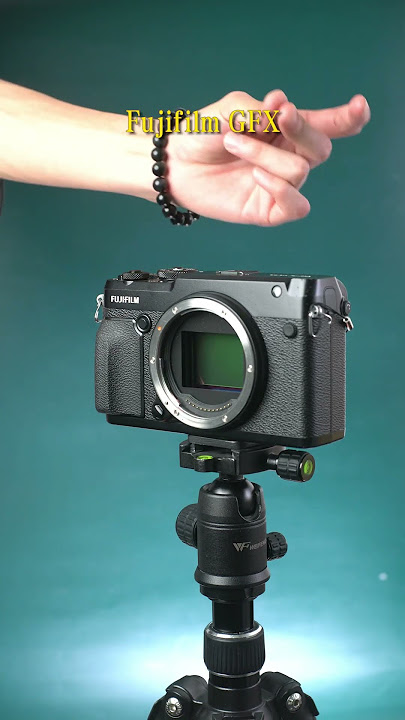 The shutter sound of different cameras #shorts