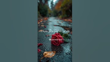 قال إني ليحزنني أن تذهبوا به القارئ يونس اسويلص 🌿🎵 #يونس_اسويلص #ammar_lotfy110 #قرآن #اكسبلور