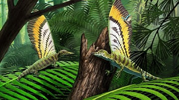Mirasaura - A ‘wonder’ fossil changes our understanding of reptile evolution