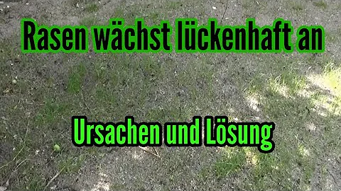 Wie warm muss es sein damit Rasen wächst?