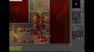 Tibia Test Server 2009 - Sniper Of Evyl - Killing EK LvL 175