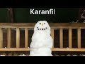 Nasıı tek başıma yaptım