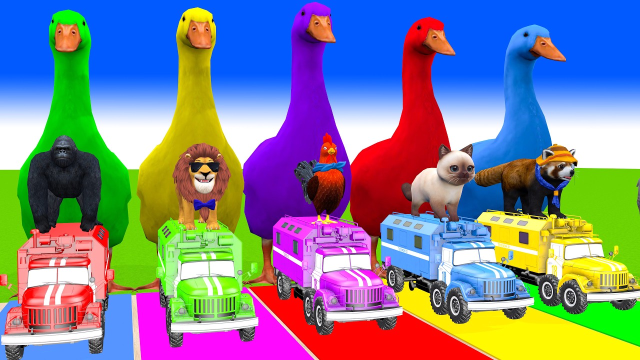 Long Slide Game With Cow Elephant Gorilla Hippopotamus Tiger 3d Animal Game Funny 3d Animals