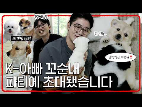 Dr. Seol, addicted to puppies after visiting the Pawketmon Center?! 🐶 | Seol Chae-hyun, Veterinar...