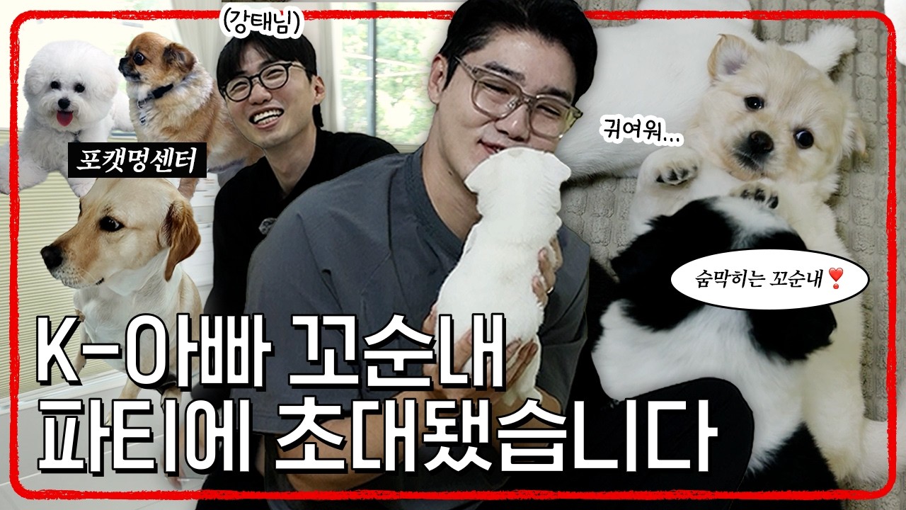 설쌤, 포캣멍센터 방문 후 아기 강아지 중독되다?! 🐶 | 설채현 행동학 수의사