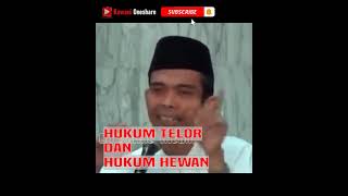 @shorts Telor Penyu Halal apa Haram  I Tanya Jawab Singkat Lucu UAS #shorts2023