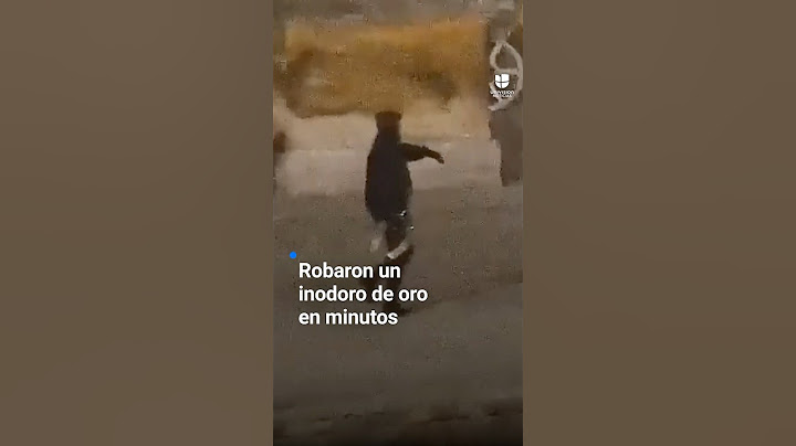 Así fue el robo de un retrete de oro en solo minutos