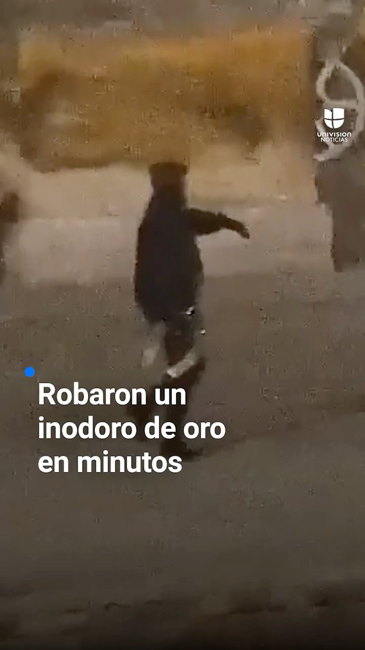 Así fue el robo de un retrete de oro en solo minutos