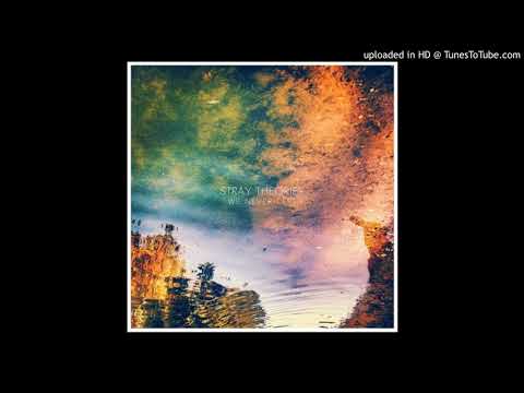 Stray Theories - One Last Time