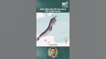 Loài cá biết đi trên sa mạc #kienthucthuvi #giaitri #kienthuchay #cothebanchuabiet