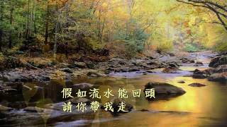 假如我是真的 (王菲) HD