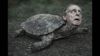 Aug 3 deadline - McConnell/Beshear - a tarot reading