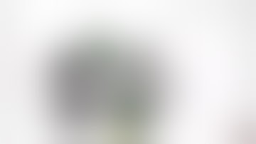 Everyone Fights Bad Users (Add Round 5)