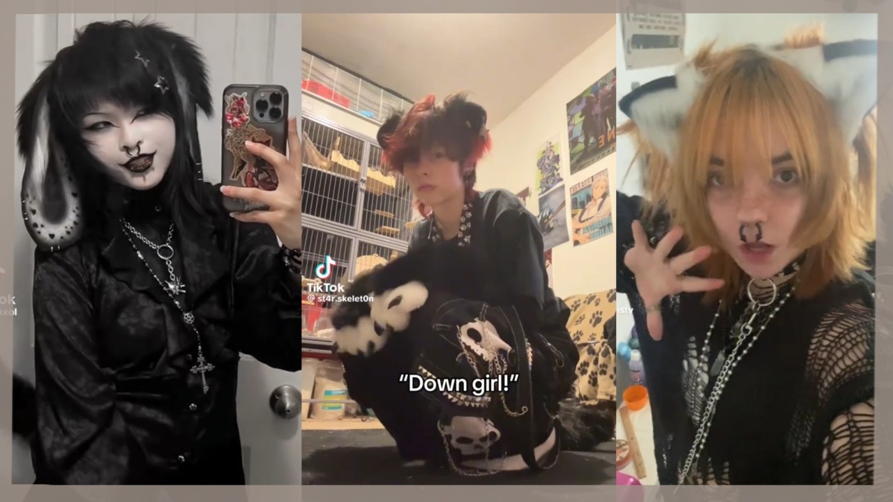 Подборка видео Kemonomimi из TikTok 🐾 | Часть 2