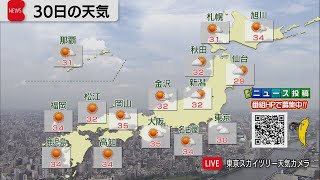 7月30日の天気