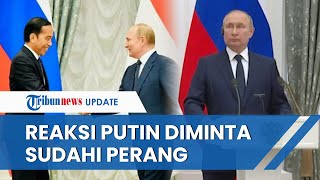 Reaksi Presiden Putin saat Jokowi di Hadapannya dan Minta Perang Rusia Ukraina Segera Dihentikan