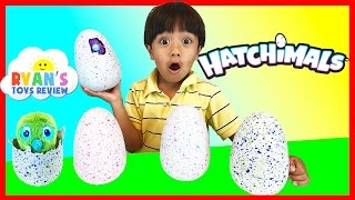 HATCHIMALS SURPRISE EGGS OPENING Magical Animals Hatching EGG Spin Master Kids Toys Ryan ToysReview