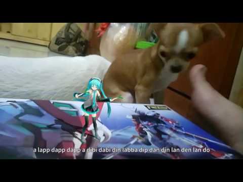 AR Concert with Miku