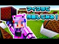 マイクラで作曲してみる!かおすちゃんのかおクラ!