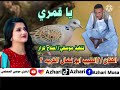الفنان الطيب ابو نضال القريه ٣ يا قمري