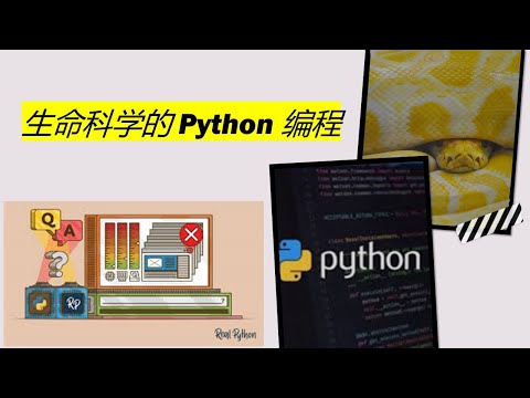 学习什么是 Python Programming (Chinese) 的透视概述在五分钟内