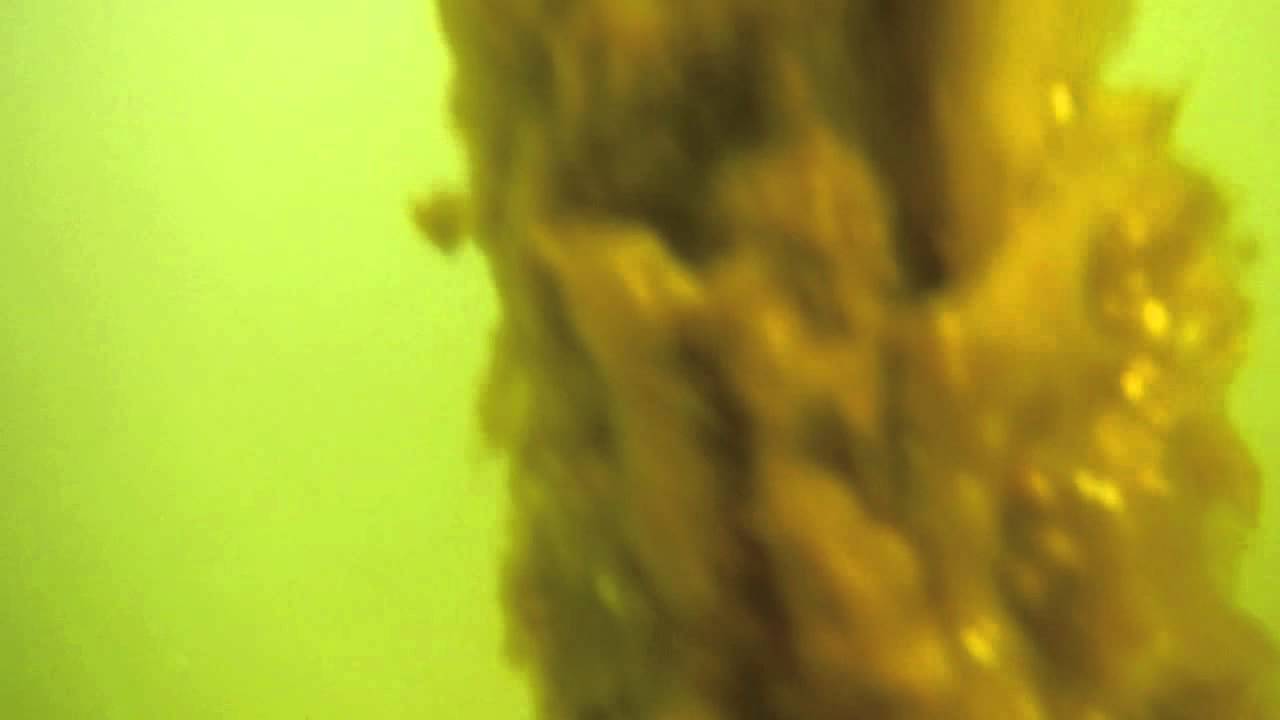 Eidanger fjorden: Pollution