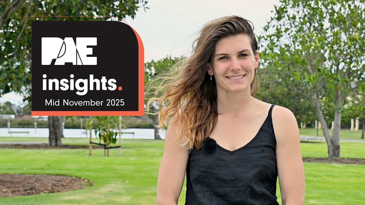 Обзор середины ноября 2025 г.