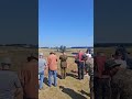 Avro Anson Sleap 1940s weekend aug 2025 #avro #planes #1940s