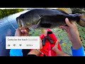 Subscribers said this topwater lure was trashso i caught chunky bass with it summer bass fishing