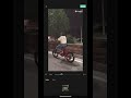 Trending capcut editing #editing #capcut #capcuttutorial