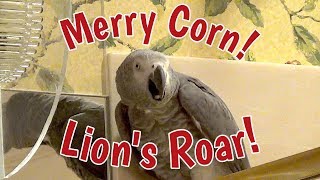 Merry Corn!  Lion's Roar!