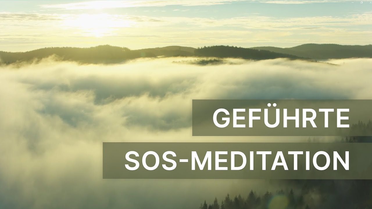 SOS-Meditation bei Stress, Überforderung & Angst | Sofortige Beruhigung in 5 Minuten