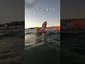 Bored Of Pools Discover Open Water Swimming Bored Of Pools Discover Open Water Swimming